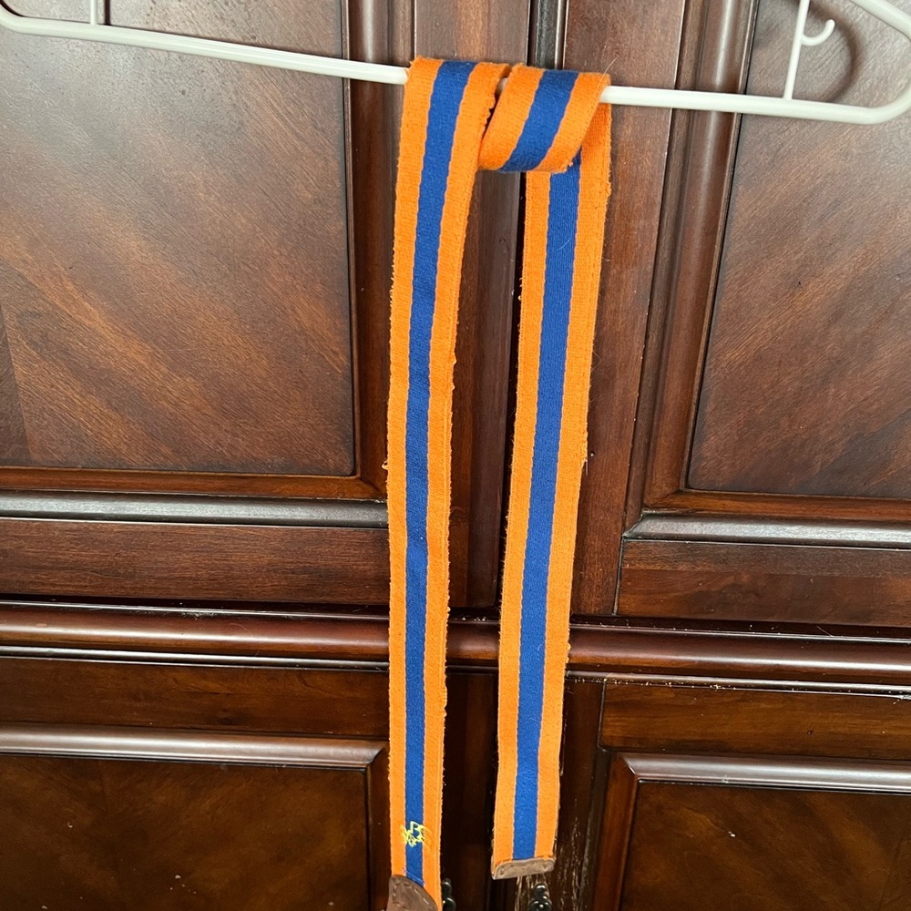 Orange and Blue Striped Belt